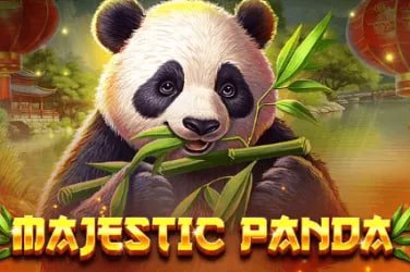 7m vn cn